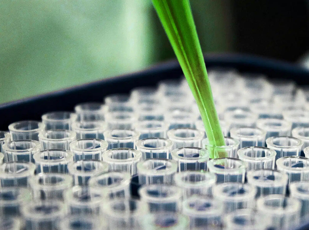 Zoe Nutrition is Wrong About DNA Diets